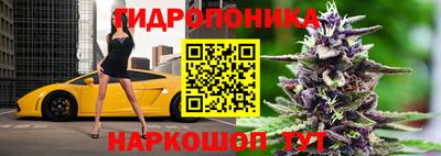 сатива Ирбит