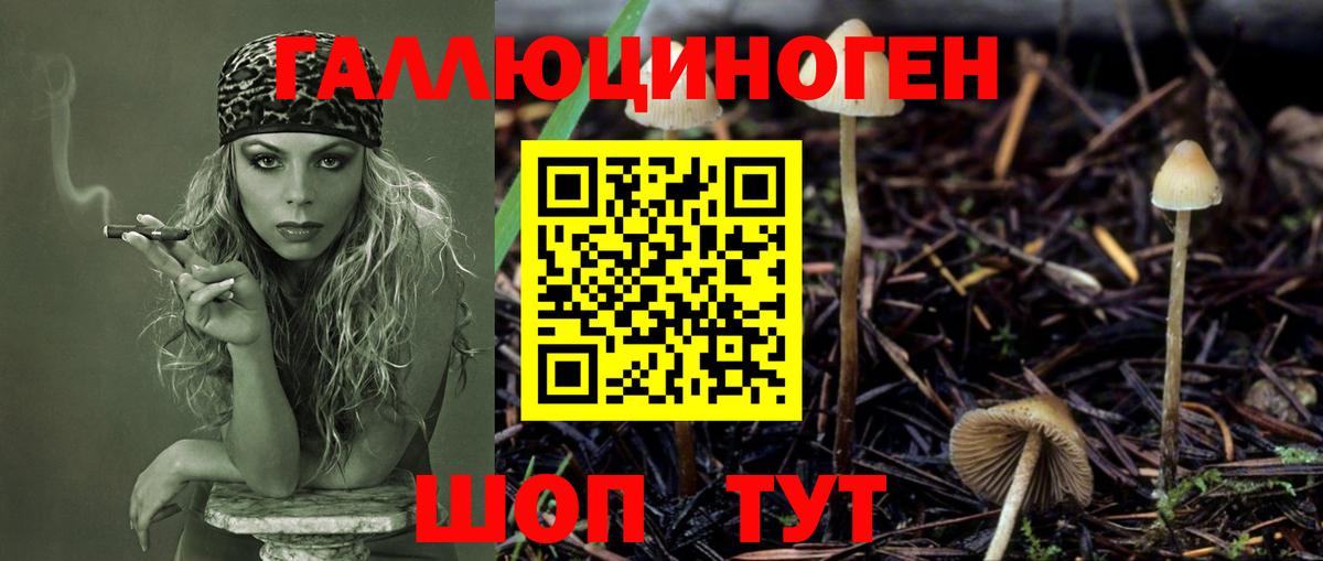 Псилоцибиновые грибы MAGIC MUSHROOMS Советский